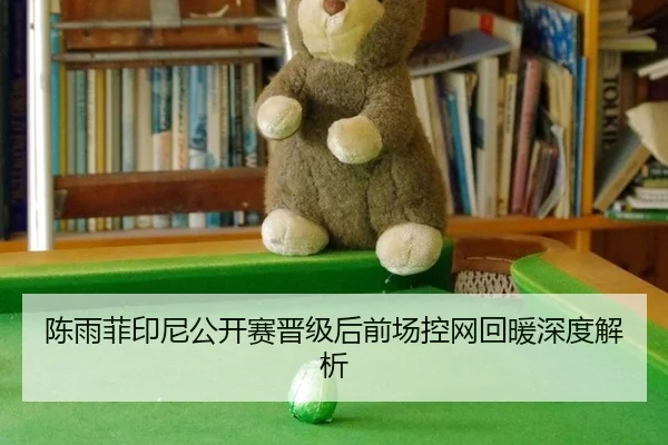 陈雨菲印尼公开赛晋级后前场控网回暖深度解析 - aitiyu
